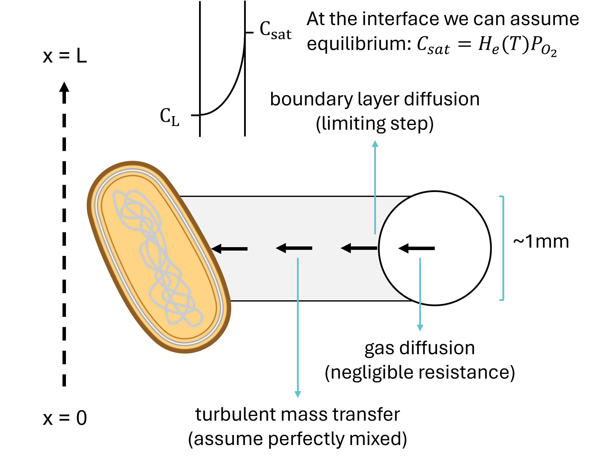 Mass-transfer